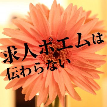^4DB8852D74F1C378B00D0650AF6367BD7BC9FC342D3FDF2E17^pimgpsh_fullsize_distr