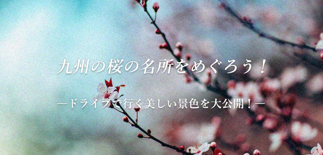 九州の桜の名所をめぐろう！ドライブで行く美しい景色を大公開！アイキャッチ