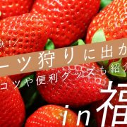 食欲の秋！フルーツ狩りに出かけよう-IN-福岡-コツや便利グッズも紹介