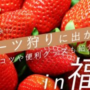 食欲の秋！フルーツ狩りに出かけよう-IN-福岡-コツや便利グッズも紹介