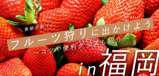 食欲の秋！フルーツ狩りに出かけよう-IN-福岡-コツや便利グッズも紹介