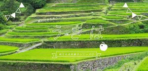 絶対行きたか！地元の名所紹介シリーズ①うきは・吉井地方
